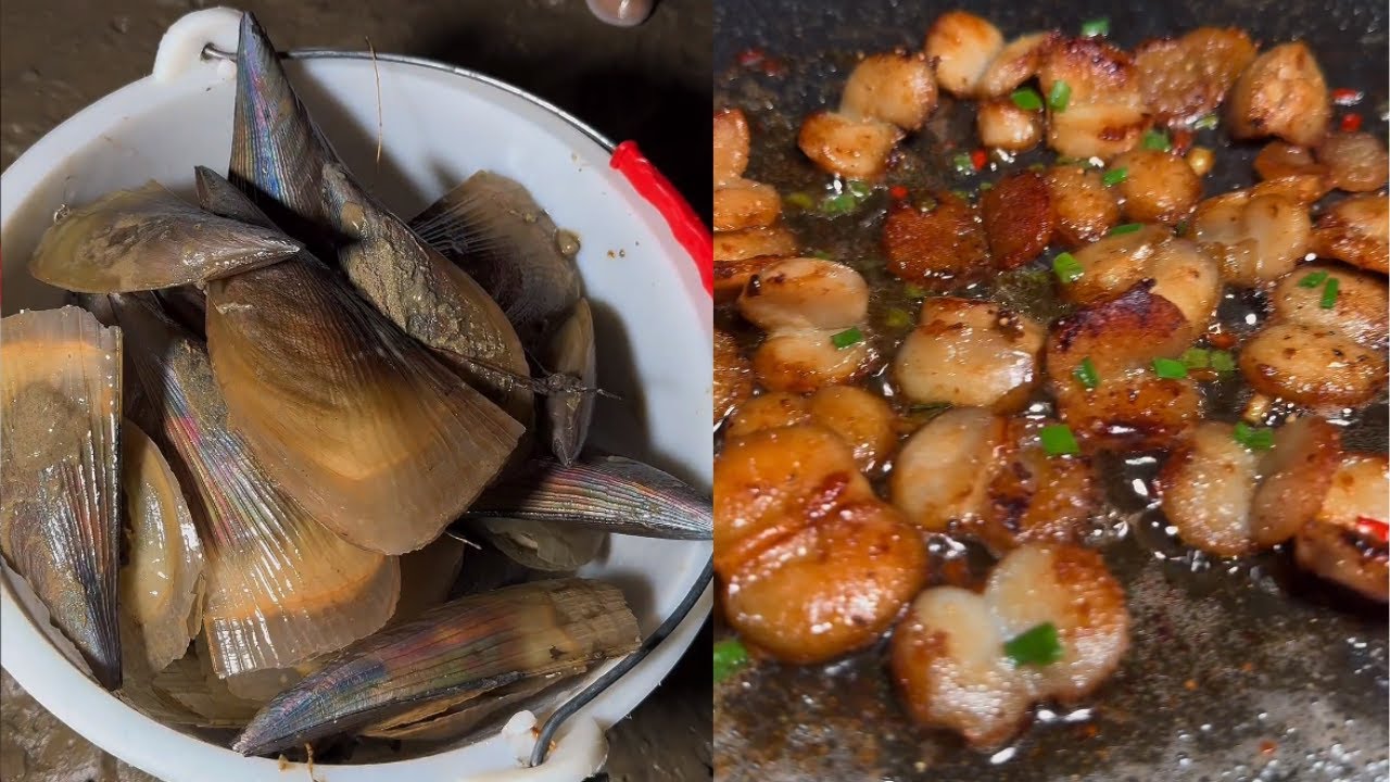 大風過後帶子螺都被刮到沙坑裏 檢著太過瘾了，現做現吃#food #赶海日常