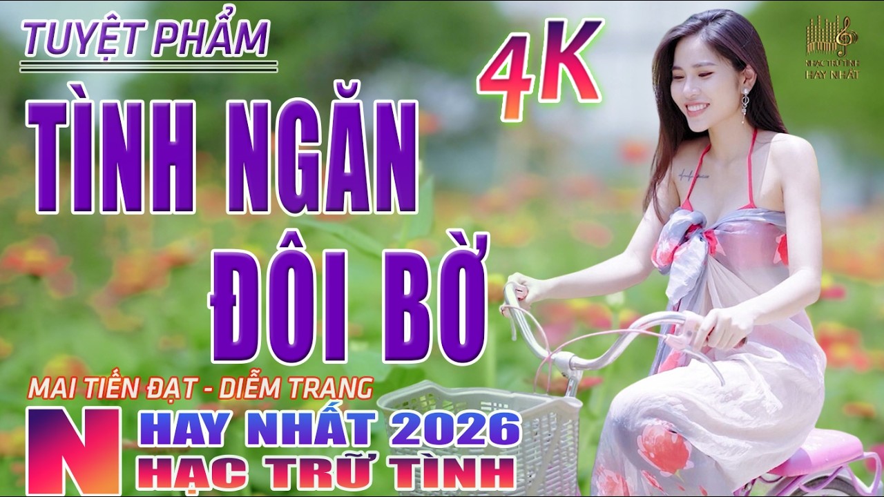 Tình Ngăn Đôi Bờ, Đường Tím Bằng Lăng🛑 Nhạc Trữ Tình Hay Nhất 2026 - Lk Bolero Nhạc Vàng Xưa Bất Hủ
