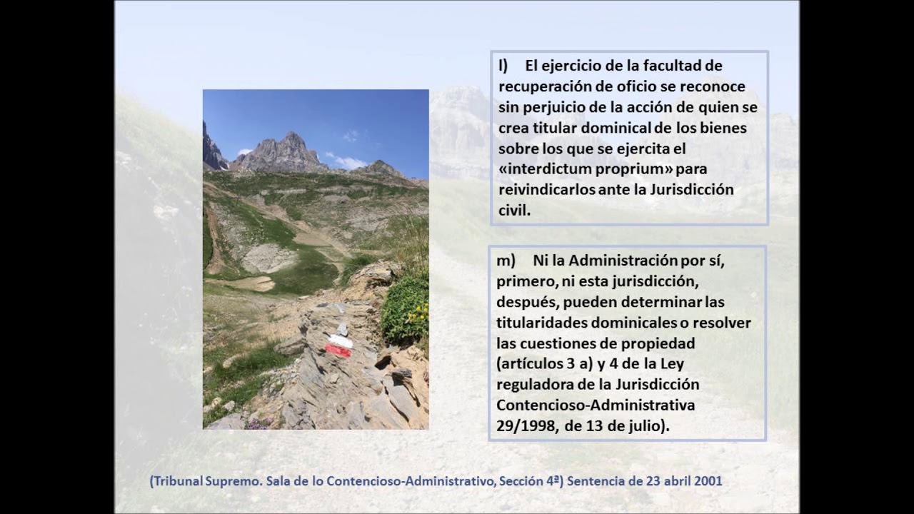 La Jurisprudencia en los Caminos P&uacute;blicos