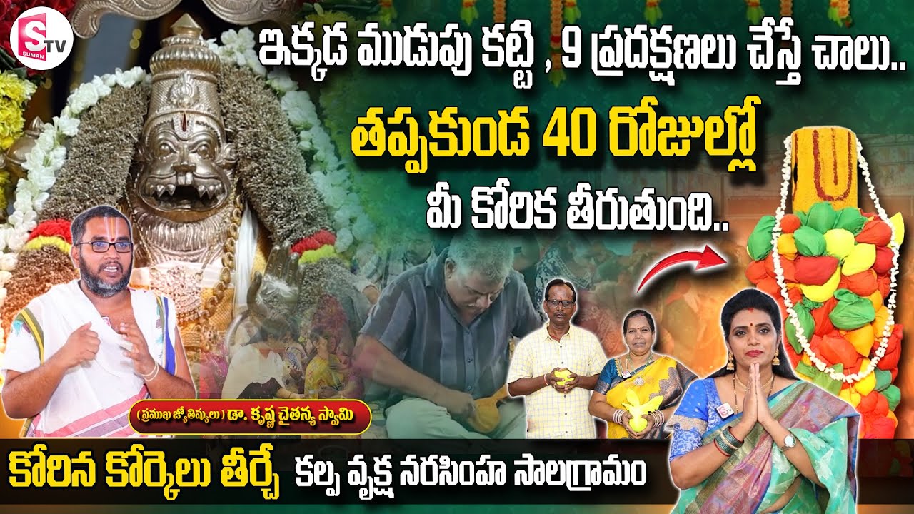 కోరిన కోర్కెలు తీర్చే కల్పవృక్ష నరసింహ సాలగ్రామం | Powerfull Kalpavruksha Narasimha Salagramam