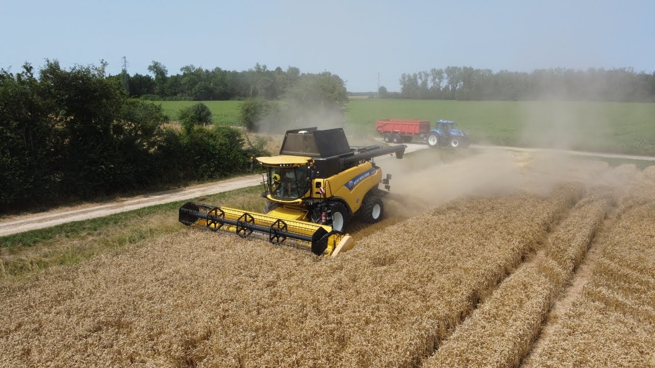 Moisson de blé 2023 | New Holland CR8.80 🌾