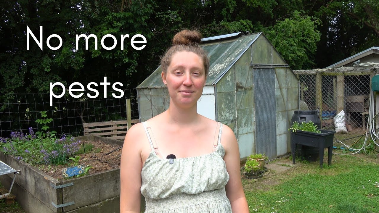 Do These Things to Keep Pests Out of the Garden
