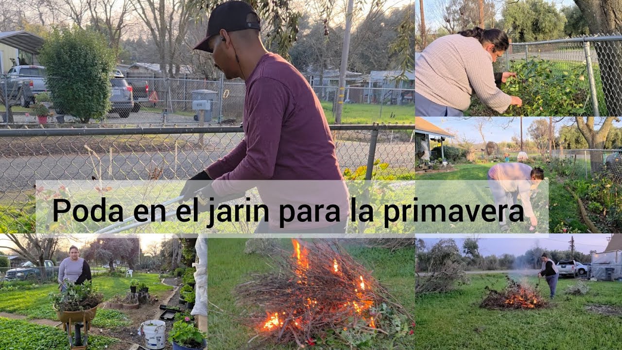 Podando el jardín para la primavera