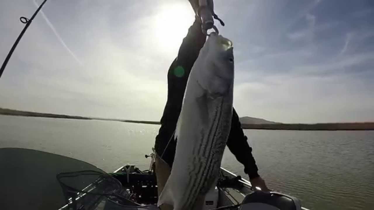 Delta Striper fishing 10/30/14