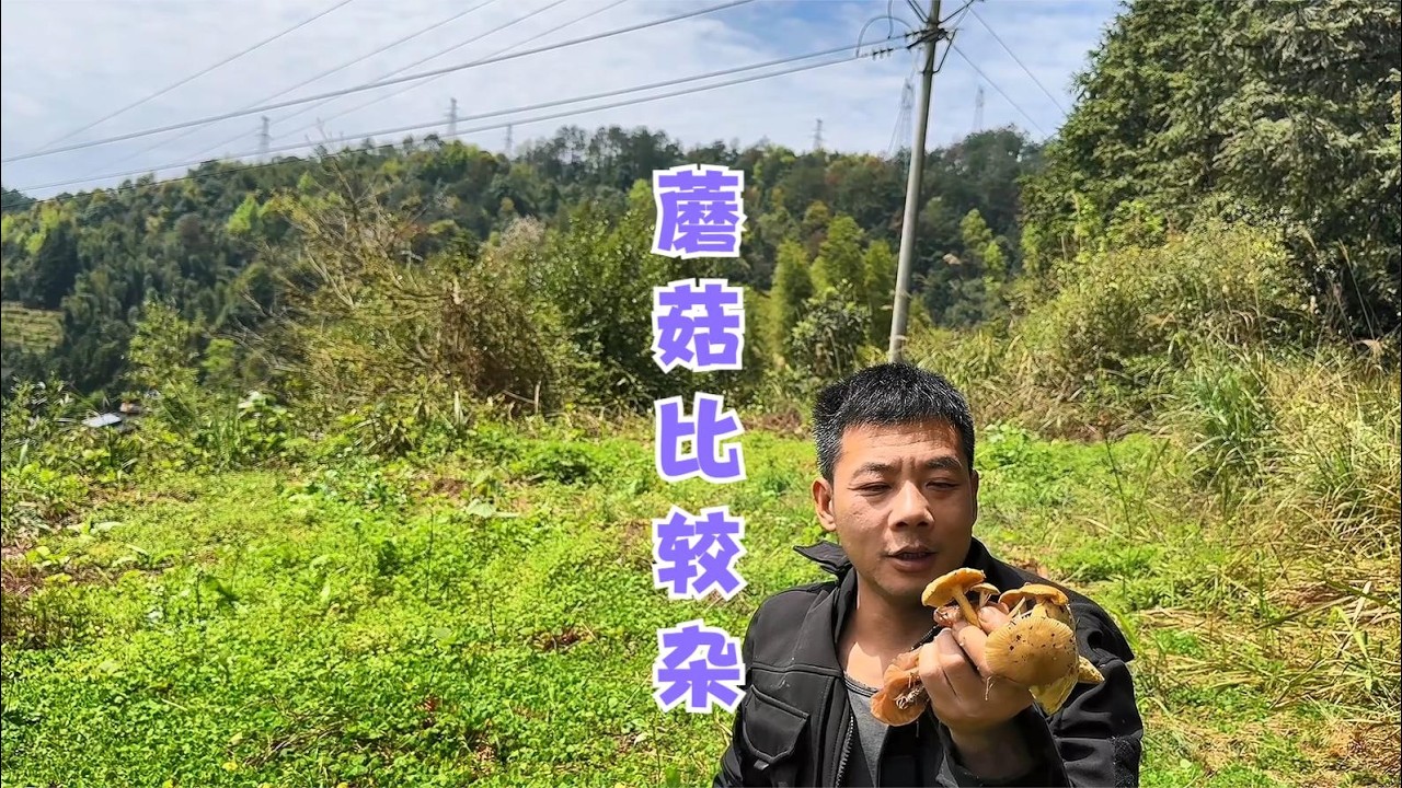 大雨过后雨锅去看鱼塘，还上山找蘑菇，今天收到的蘑菇比较杂