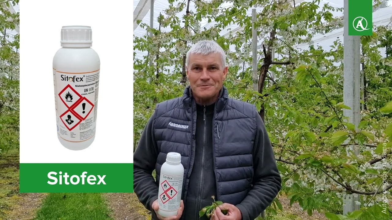 SITOFEX - Innowacyjny preparat w uprawie czereśni - NOWY PRODUKT w ofercie Agrosimex