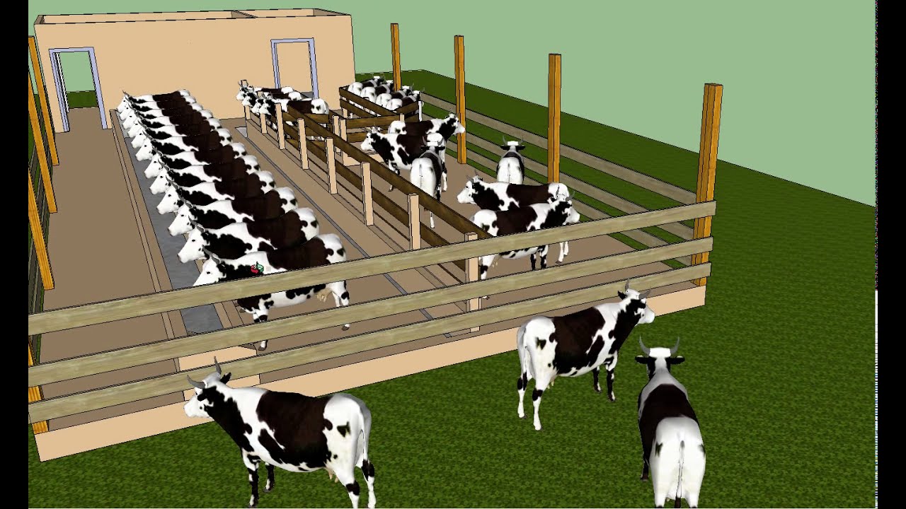 Maquete 3D Estábulo com Fosso. Dimensões 20m x 8m.