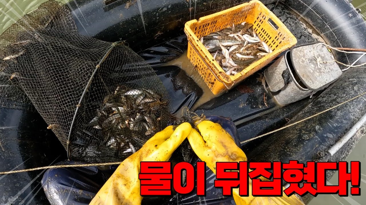 한탄강에 비가 와서 물이 뒤집히면 이렇게 됩니다. 도대체 얼마나 나온거야?