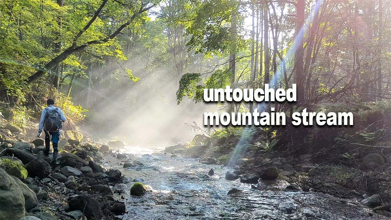 IWANA fishing | Search for chars in untouched mountain stream | 北軽井沢の渓流釣り