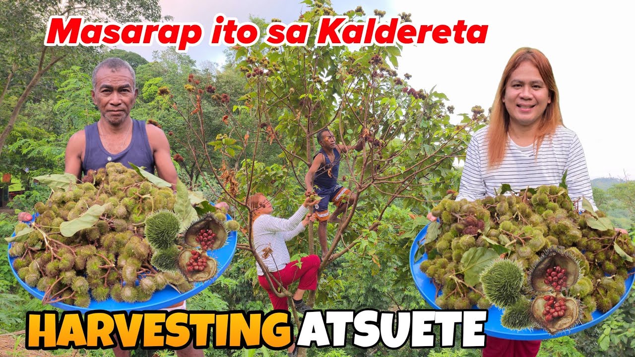 EP426 LALAKI SA GITNA NG GUBAT KINAKATAKUTAN NG IBANG TAO PERO MABAIT PALA??!!