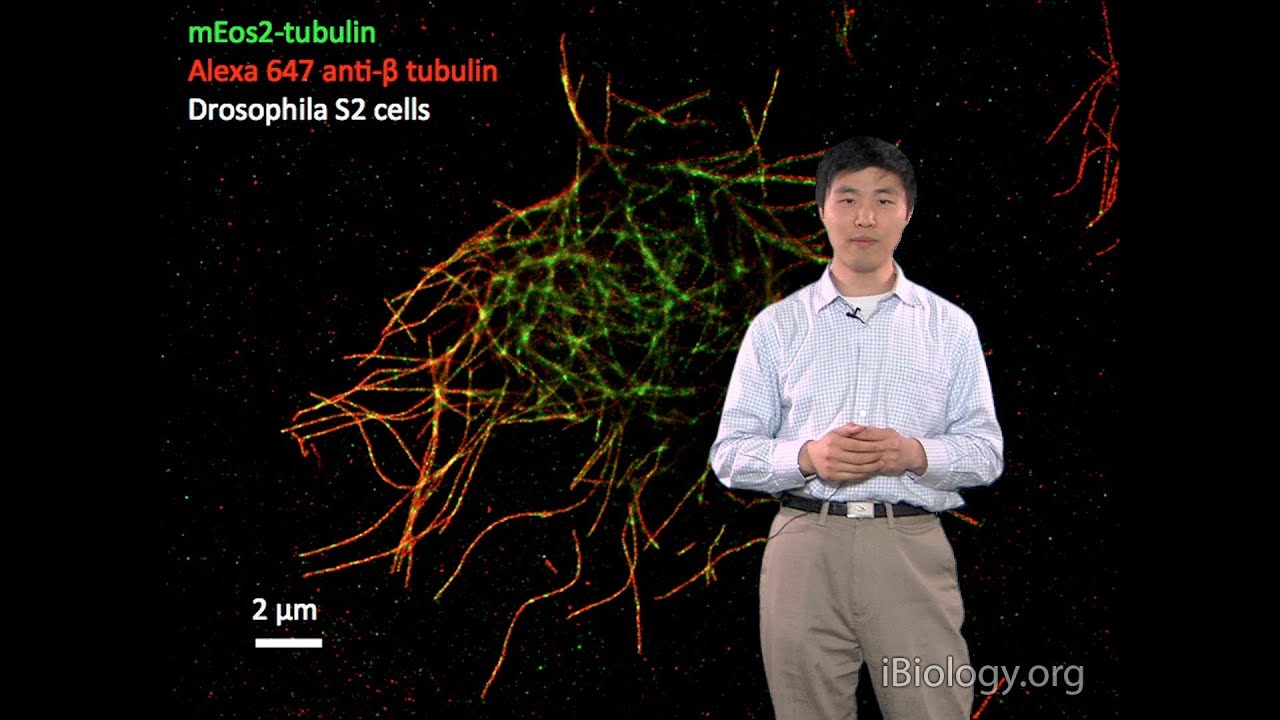 Microscopy: Super-Resolution: Localization Microscopy (Bo Huang)