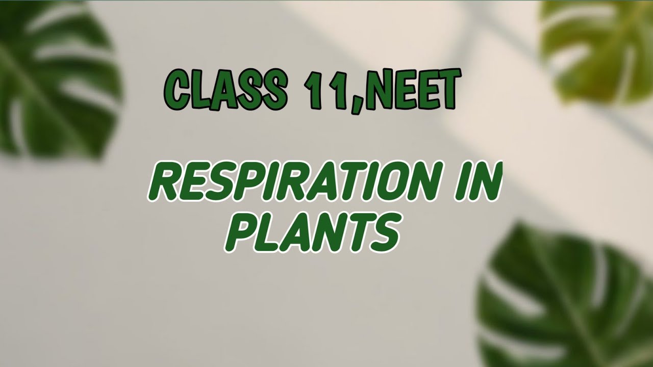 Respiration In Plants |Plant Physiology |Lecture 2 |Class 11th |NEET 