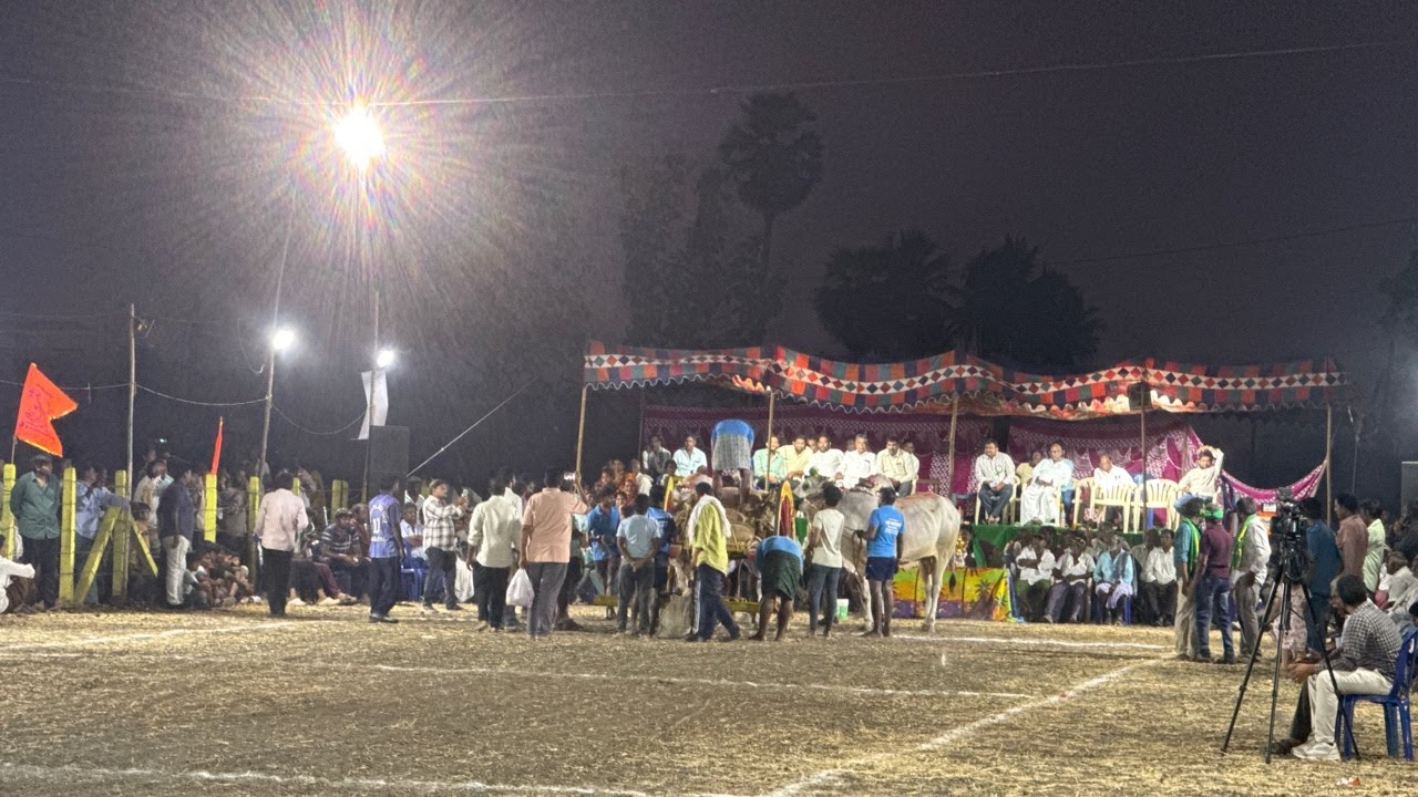 Uppuluru Race | 9వ జత | seniors | Alla Hari krishna yadhav | పెదపూడి | 3163.6