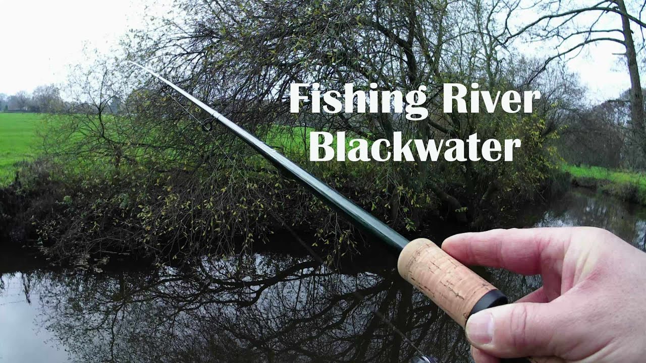 OTO Adventures - Fishing River Blackwater for Roach and Perch