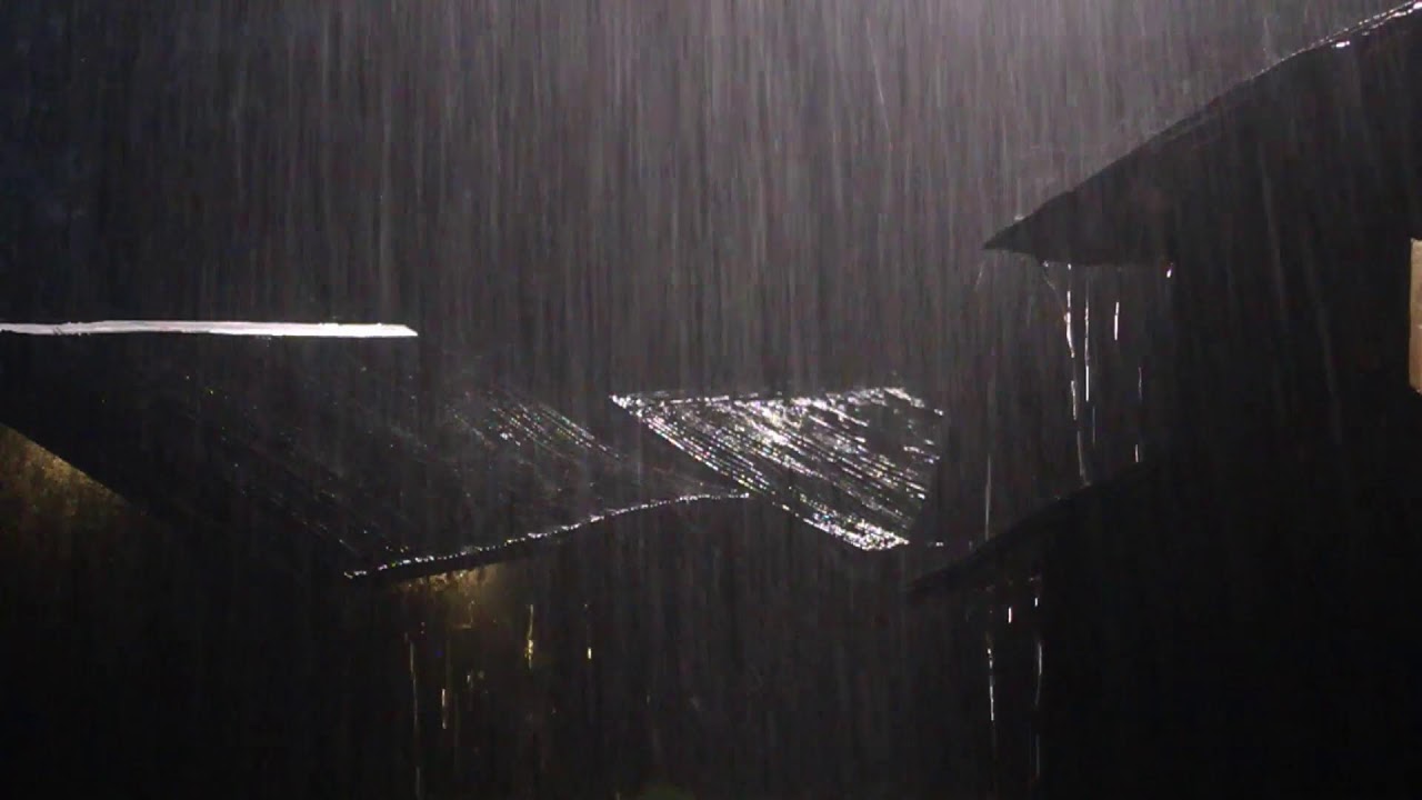 Wash Away Your Worries with Soothing Rain & Thunder - Sleep Sounds Live Stream
