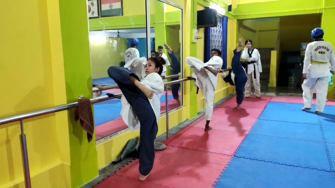Poomsae Dollyo Chagi  Basic
