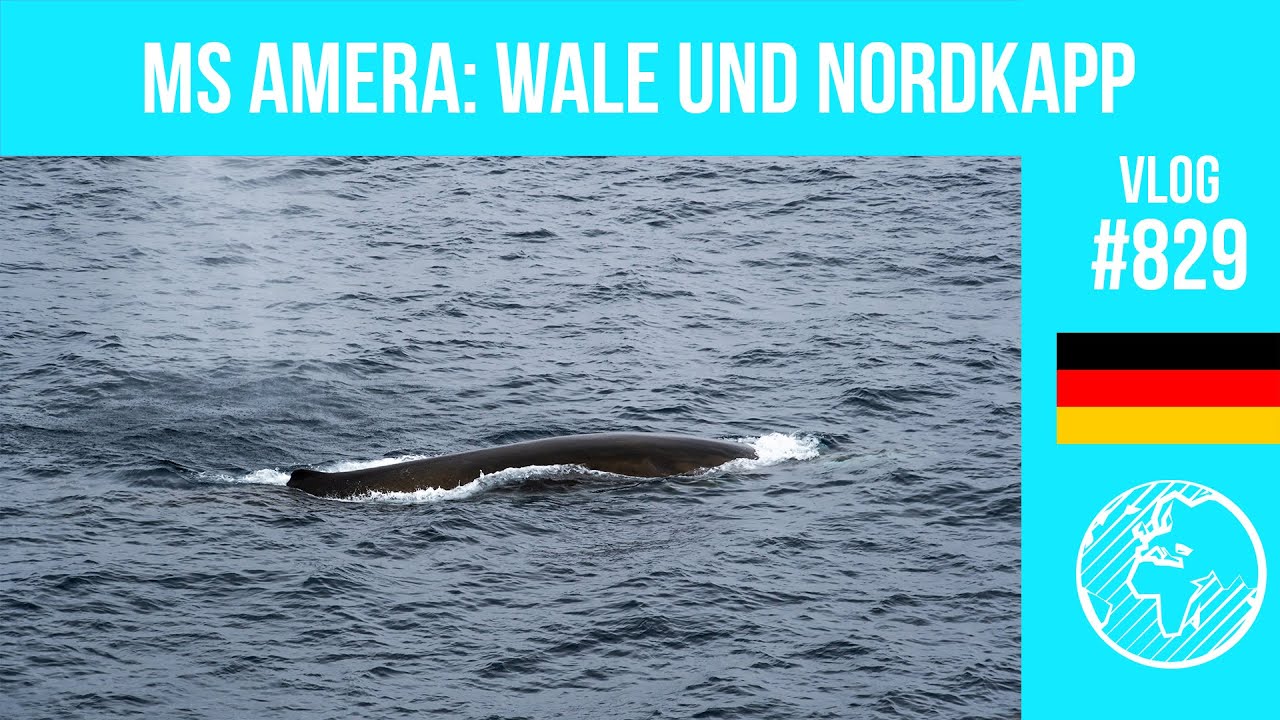 MS Amera (Phoenix Reisen) | Tag 8-9 | Wale & Nordkapp | Vlog 829