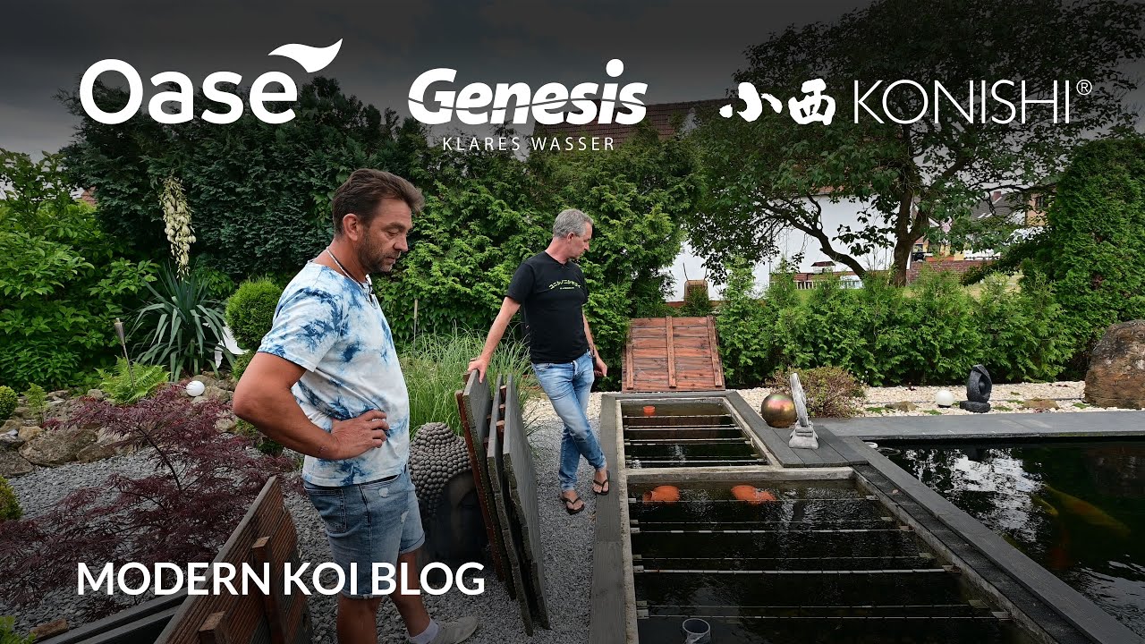 Modern Koi Blog #5437 - Christians selbstgebauter B&uuml;rstenfilter