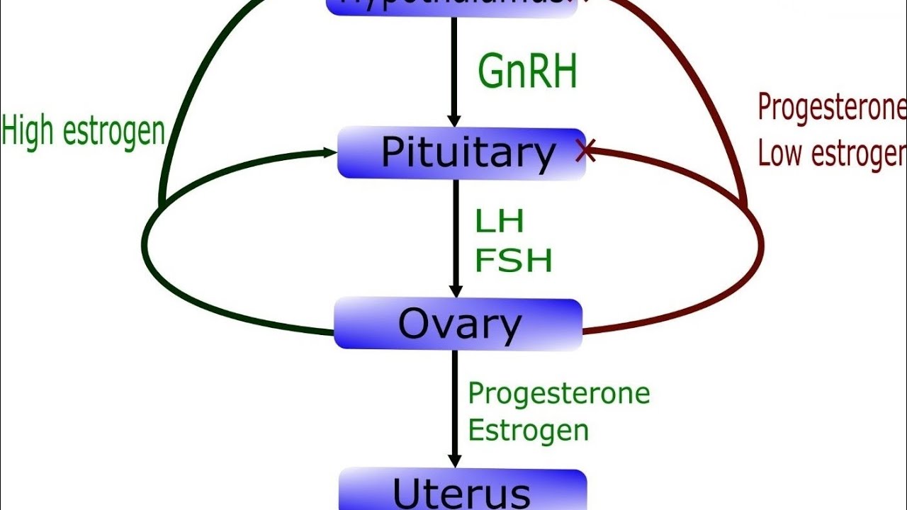 The Court of YHWH as The Dismembered God of All Gentile Mythos Rebranded Monotheism 