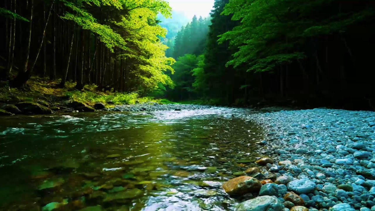 Forest Ambience - Birds Singing & Beautiful Stream Sounds for Peaceful Sleep,Deep Rest,Medicine ASMR