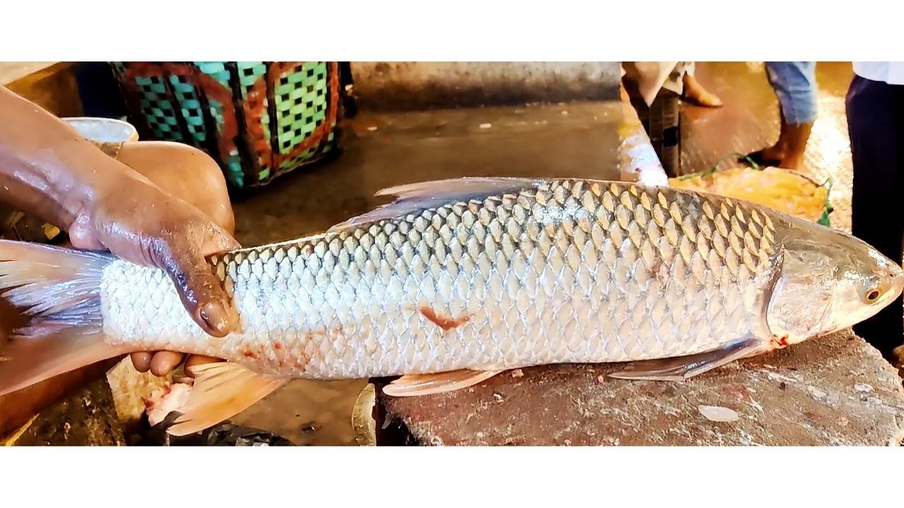 Amazing Mrigal Fish Cutting Muslim Bazar | Expert Fish Cutter Full Fish Cutting Skills