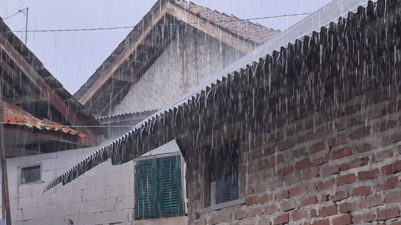 LIVE Tropical Rainstorm 🌧️ Strong Rain Sounds for Deep Sleep