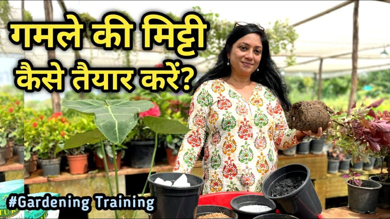 Indoor Plant / प्लांट की अच्छी मिटटी खुद से तैयार करें घर में बेहतरीन तरीका By Madhu Saxena