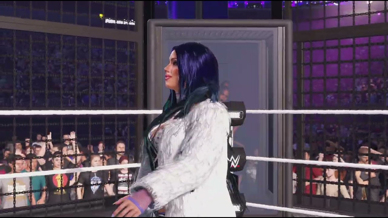 Elimination Chamber for the Smackdown Women's championship