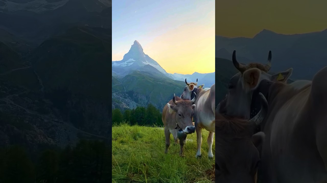 Don't miss these 8 EPIC experiences in ZERMATT, Switzerland 🇨🇭