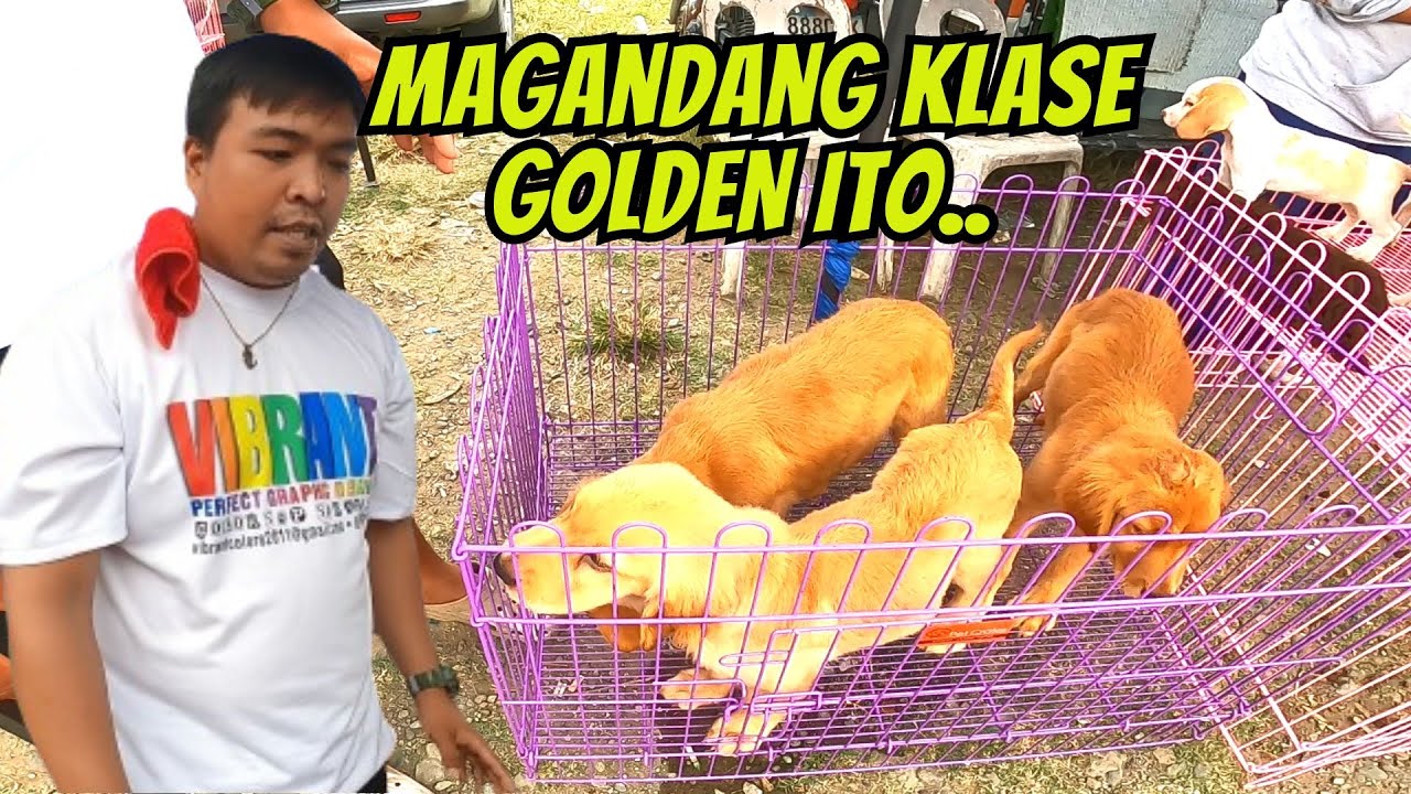 MGA NAG-AABANG NITO, SOLID SA GANDA..