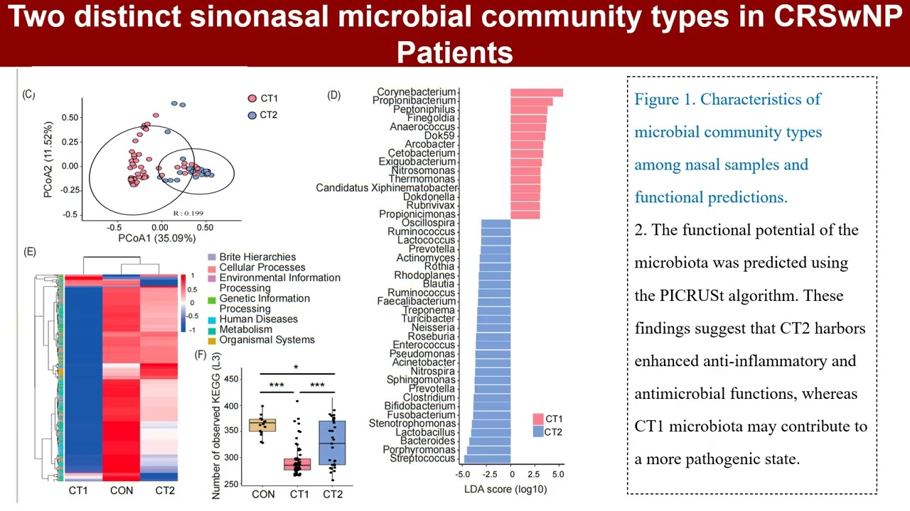 iMetaOmics | Sinus microbiota links to phenotypes in chronic rhinosinusitis with nasal polyps