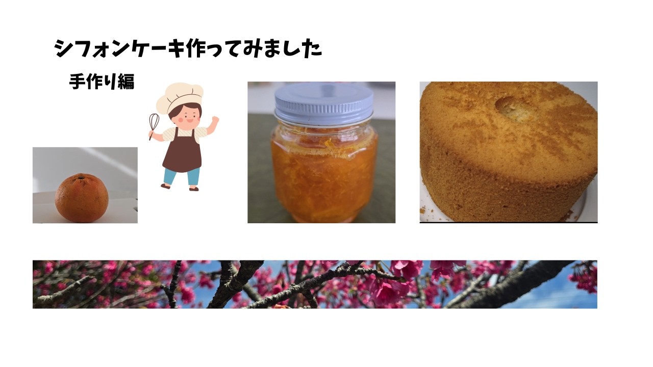 奄美の旬のタンカンシフォンケーキ作りました