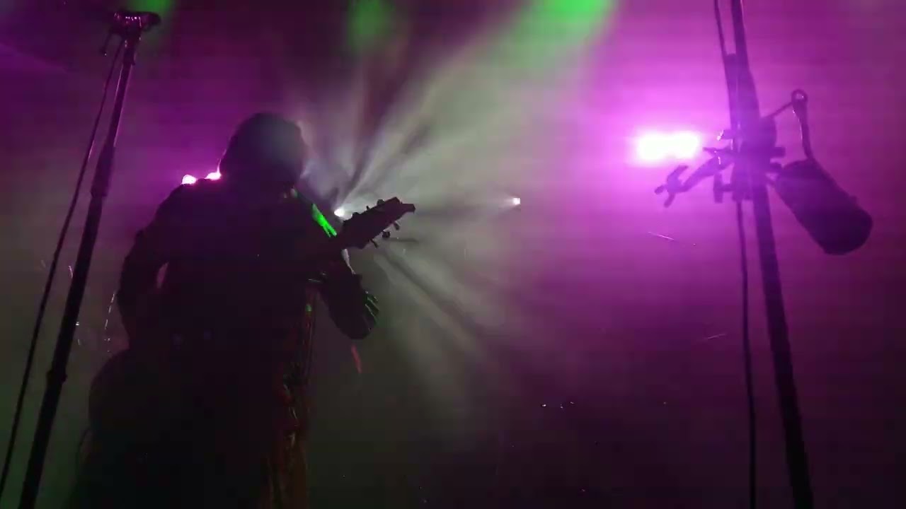 006 Sleepytime Gorilla Museum - Ambugaton - CPunt Grote Duyck Hoofddorp 13 Augustus 2025