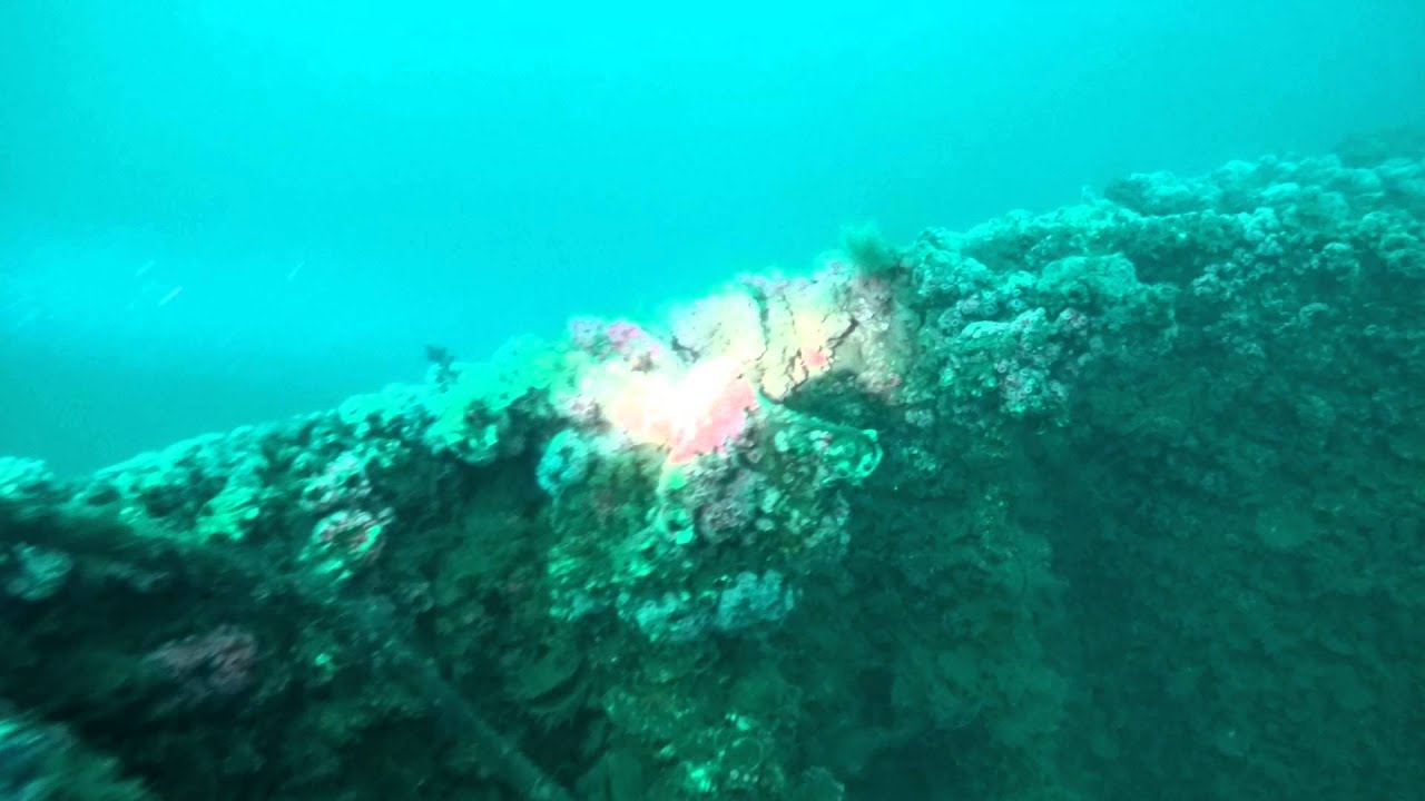 Palawan Shipwreck Dive - Redondo Beach, CA