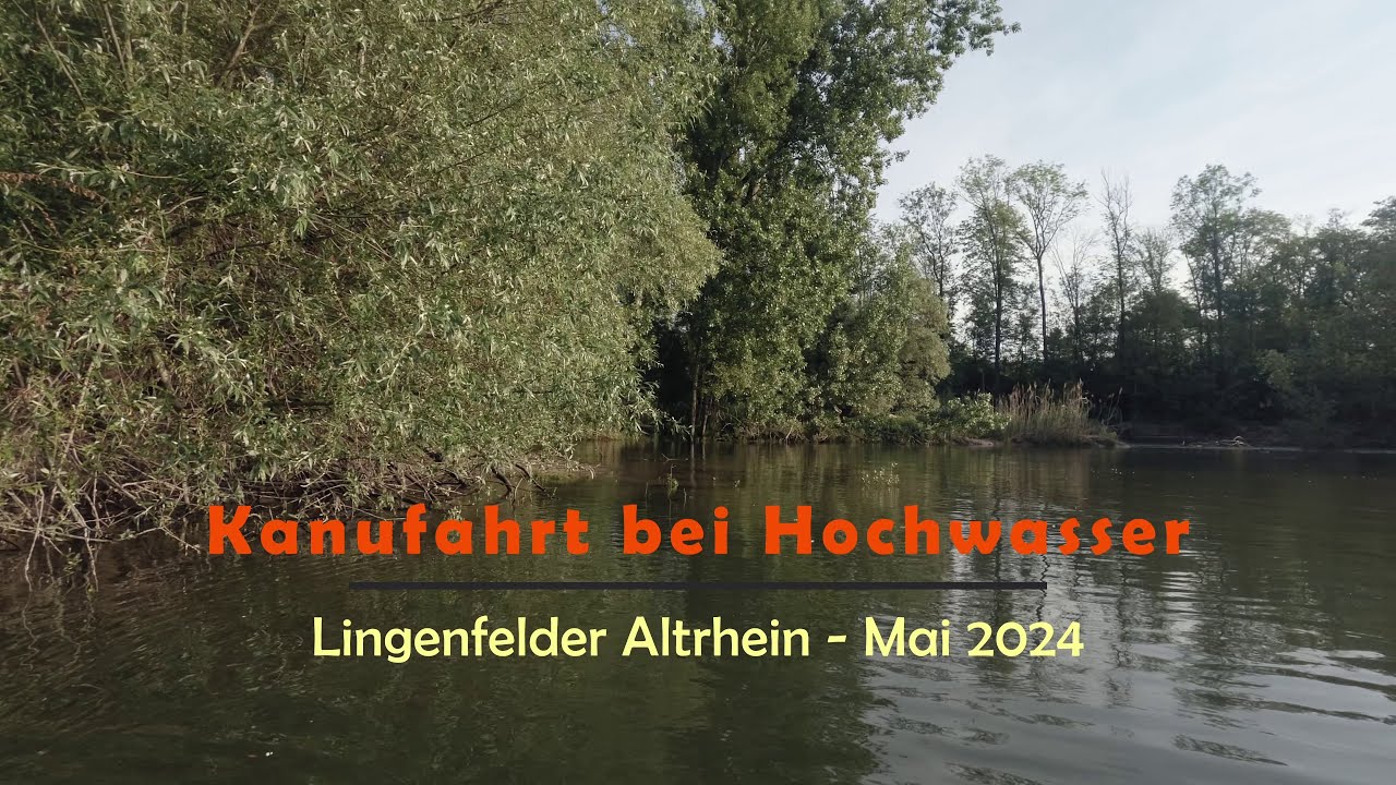Lingenfelder Altrhein - Kanufahrt bei Hochwasser