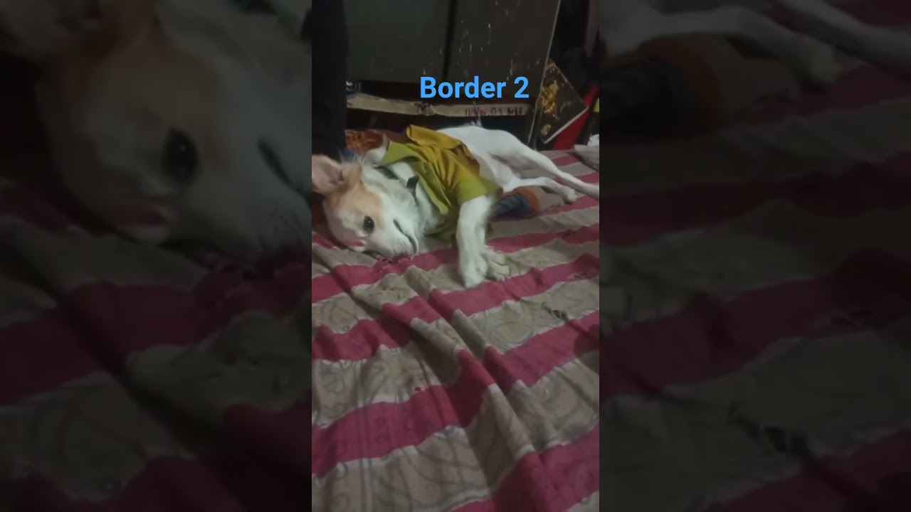 @border 2# 
