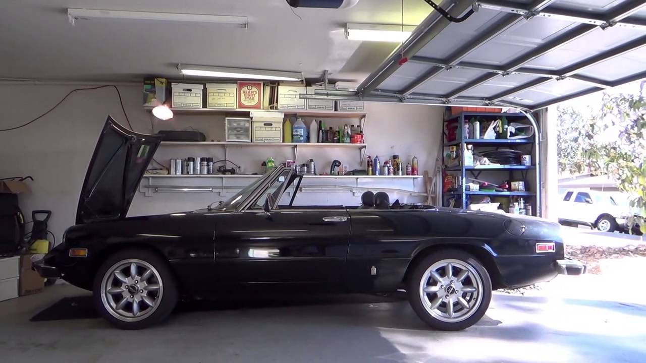 Alfa Spica Transplant Startup