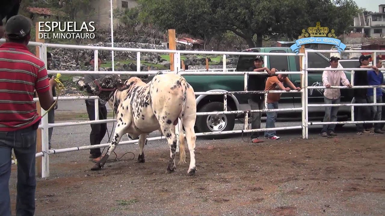 CALA de Toros de Rancho La Misión en Juliantla, Guerrero 29 Mayo 2013