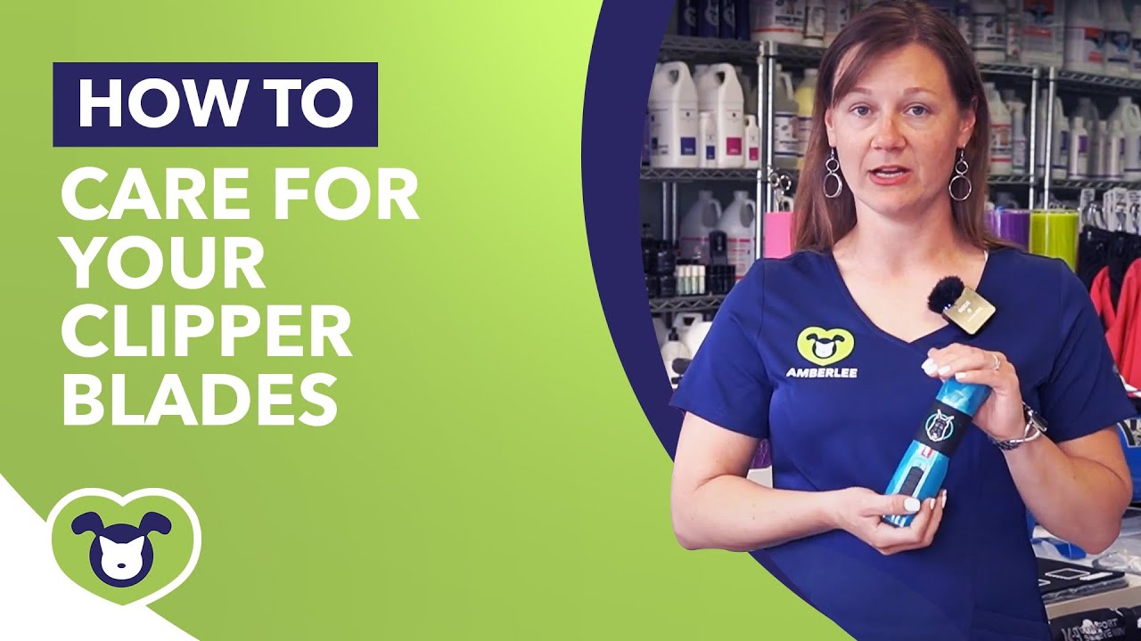 How to Care for Your Clipper Blades While Grooming