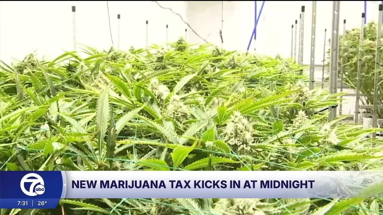 Michigan implements 24% wholesale marijuana tax starting January 1