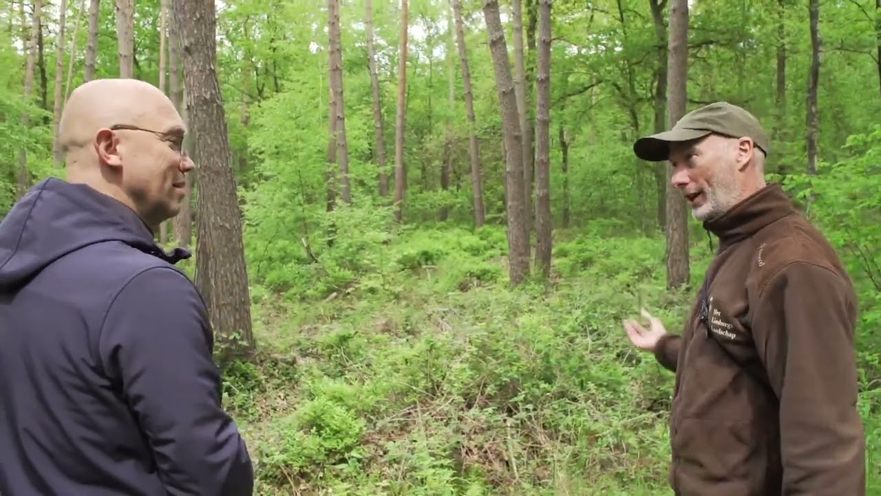 Hoe beheren wij het Weerterbos? | Natuur en Zo
