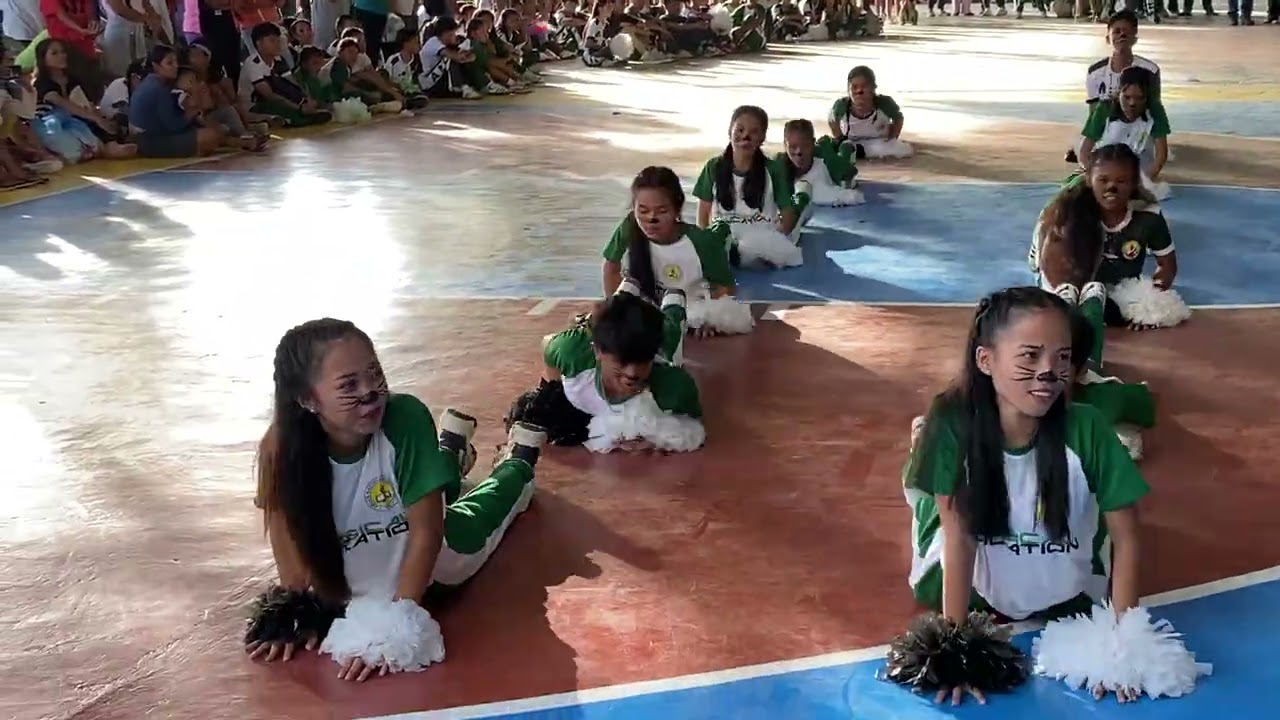 AMLAN NATIONAL HIGH SCHOOL GRADE 11 #cheerdance #followers #highlights 