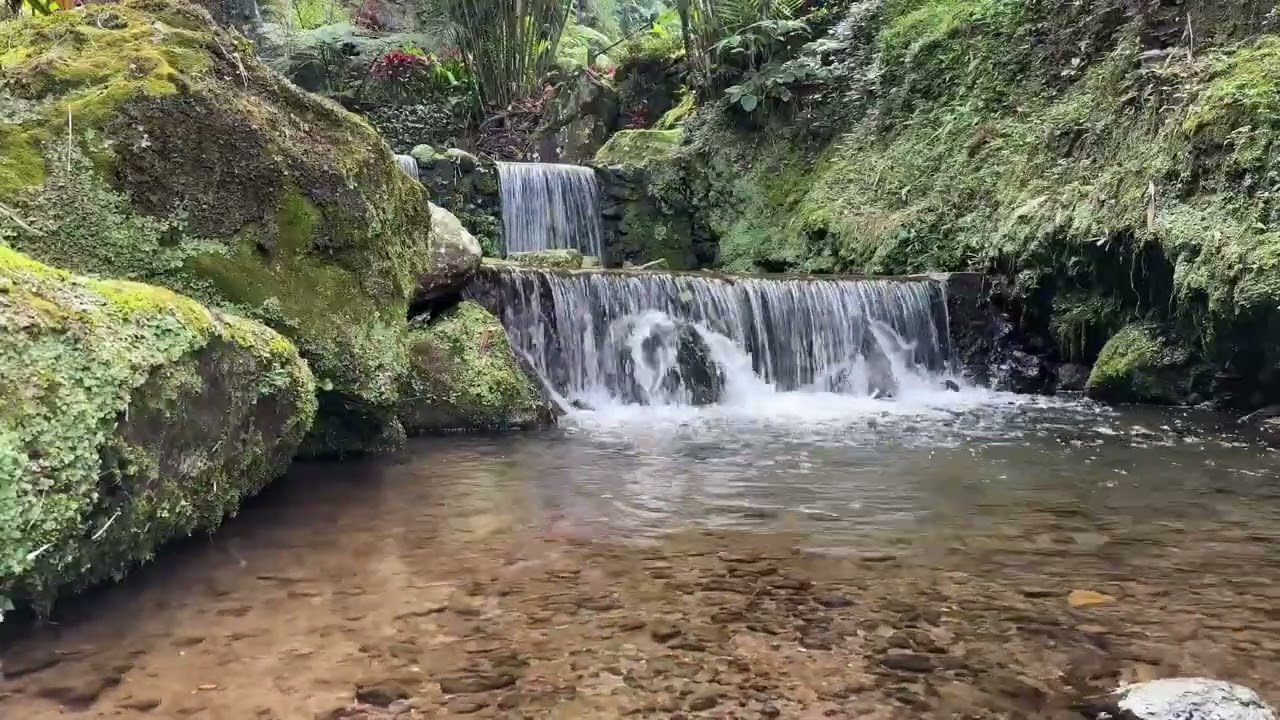 Soothing River Sounds for Anxiety Relief: Perfect for Relaxation and Stress Relief 