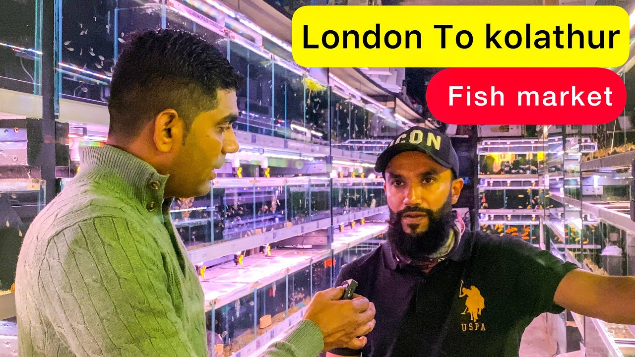 லண்டன் மீன்கள் பண்ணை | Fish Aquatic| London Shop | Kolathur Style Fish Market| Tamil Vlog