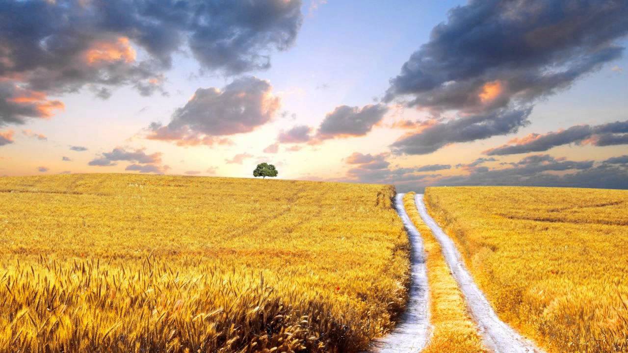 Alex Larichev feat. Holly Prothman - Look My Way (Original Mix) [HD]
