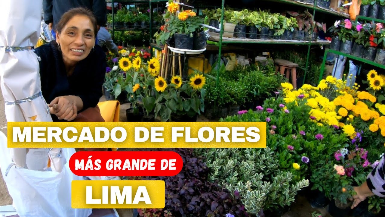 🔥REGRESE AL MERCADO DE FLORES MÁS GRANDE DE LIMA🔥