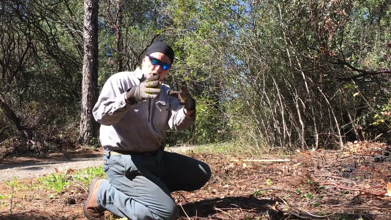 Brush Clearing with Mattock 1