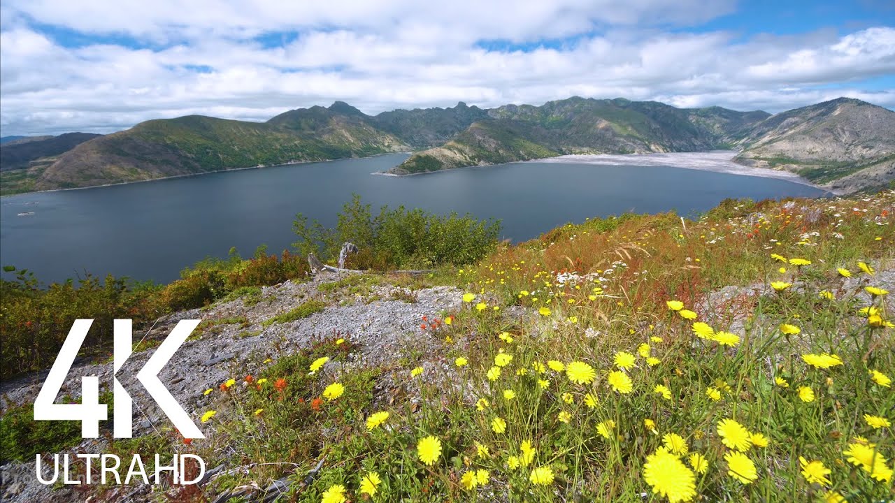 Gentle Bird Singing & Relaxing Wind Sounds with Mountain Lake View in 4K