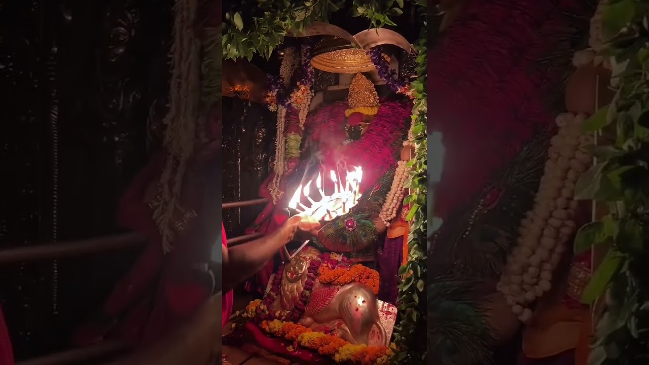 Divya tera darbar Devi #bhaktisong #short 🙏🚩🛕