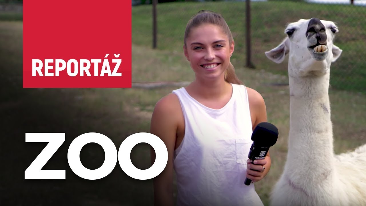 Barborka kŕmi zvieratká v ZOO Bratislava (Reportáž)